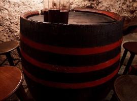 Wine cellar with wine tasting
